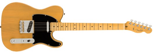 Fender Am Pro II Tele MN BTB